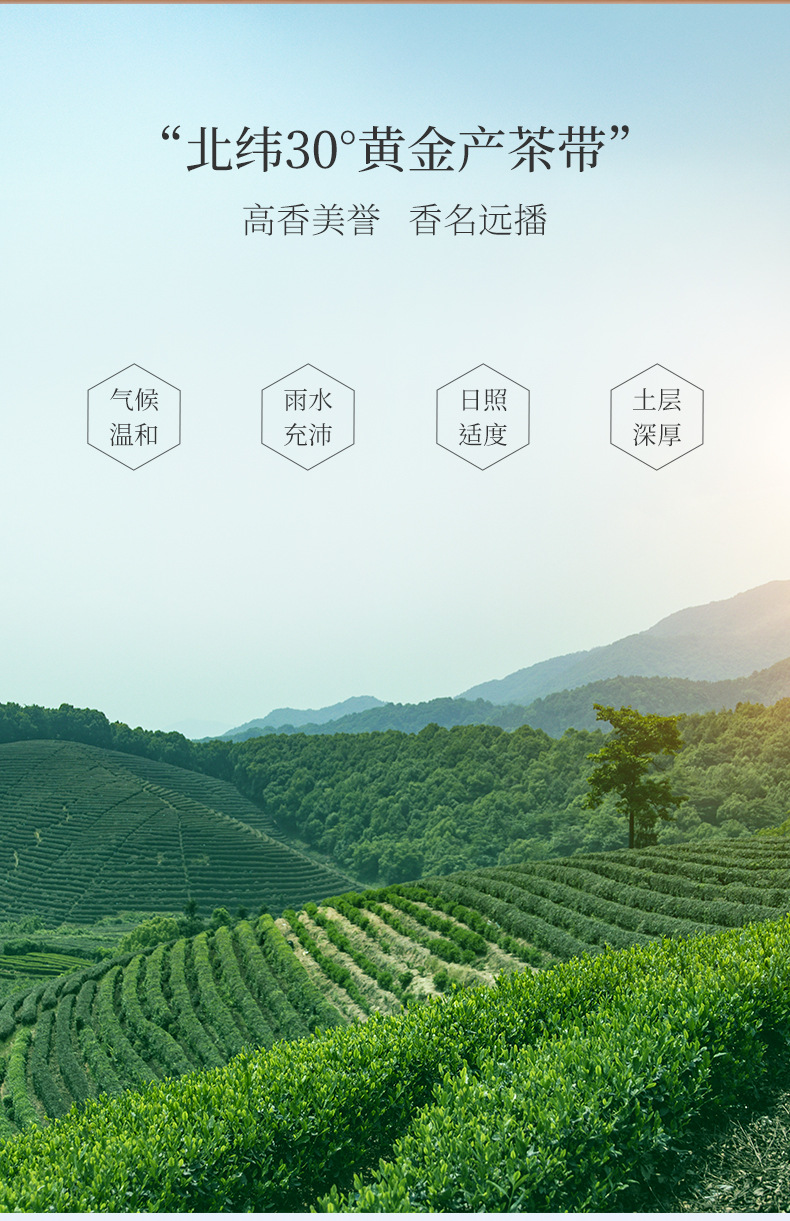 红茶香螺-阿里_02.jpg