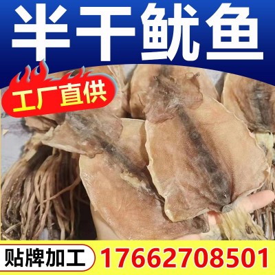 半干鱿鱼 烧烤原料