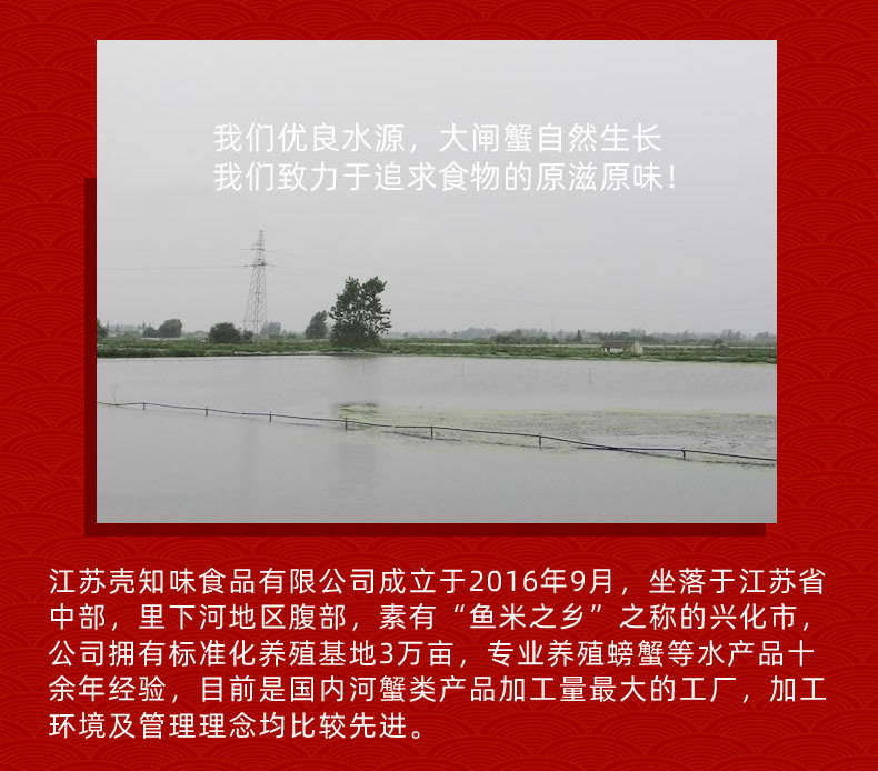 花蛤1-8.jpg