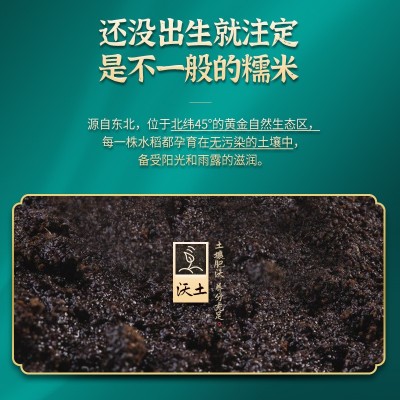 农夫日记5斤新米东北圆糯米农家杂粮新鲜香白江米粽子酒酿糯米图4