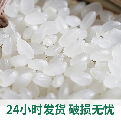 黑土嘉禾东北大米5kg厂家直批代发黑龙江圆粒珍珠米新米袋装10斤图3