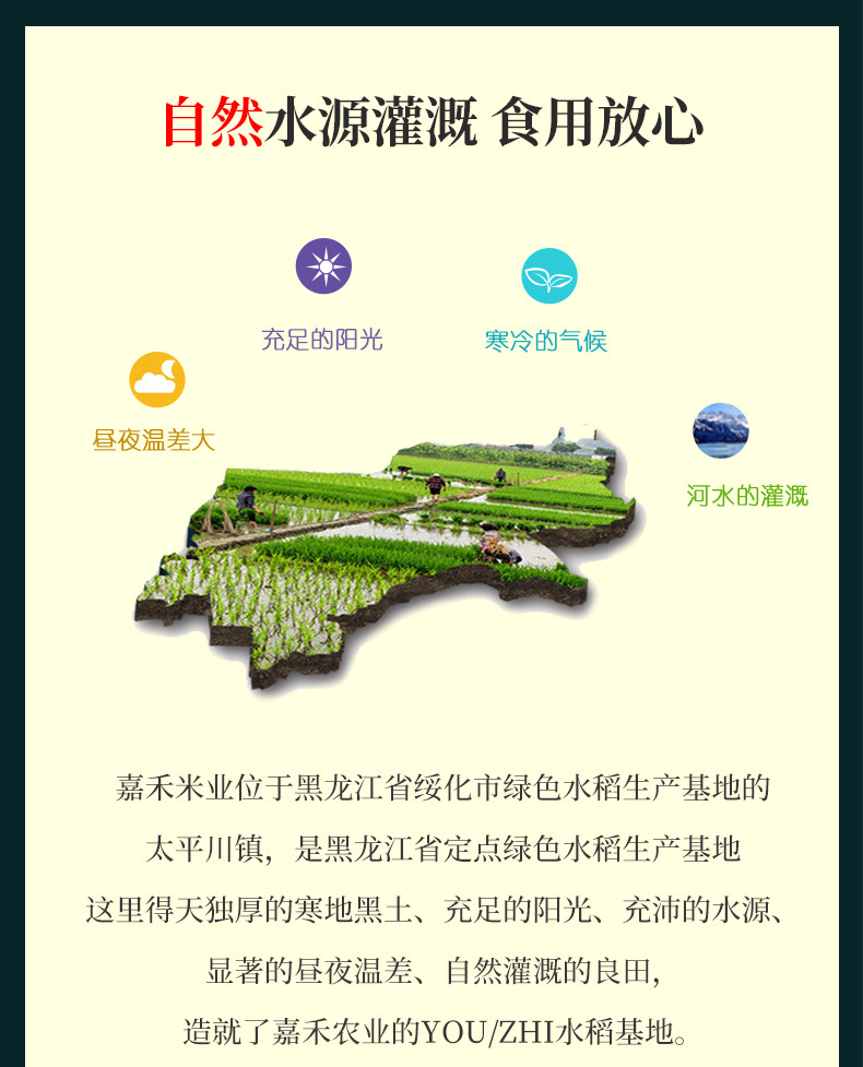 小绿编_06.jpg