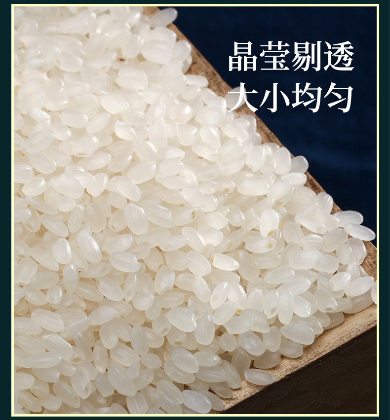 小绿编_04.jpg