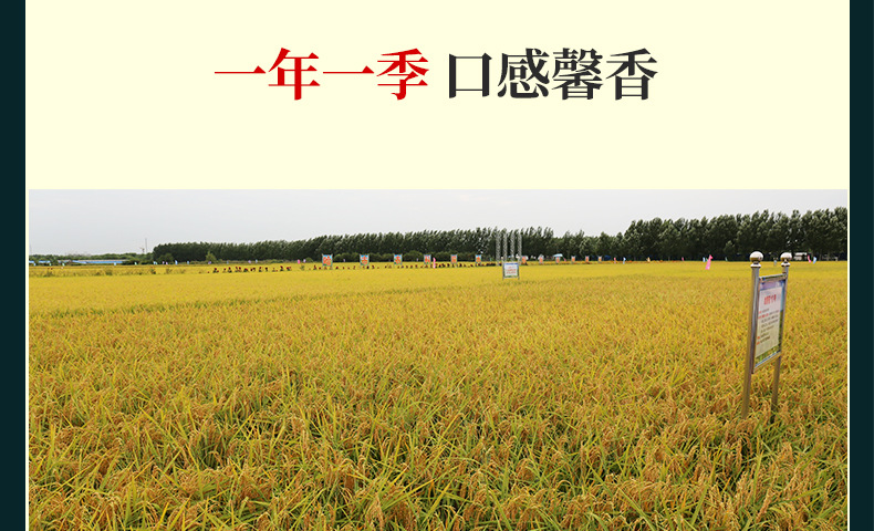 小绿编_05.jpg