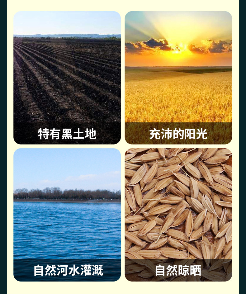 小绿编_07.jpg