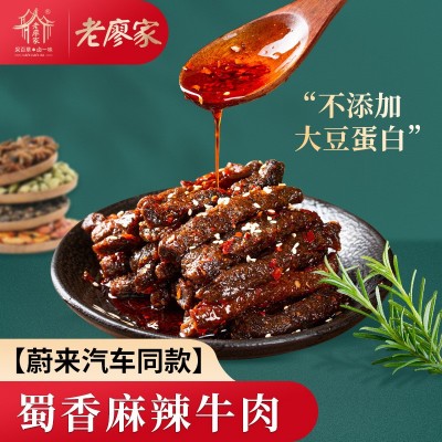 网红蔚来汽车同款四川特产麻辣牛肉办公室休闲即食牛肉干零 食批发