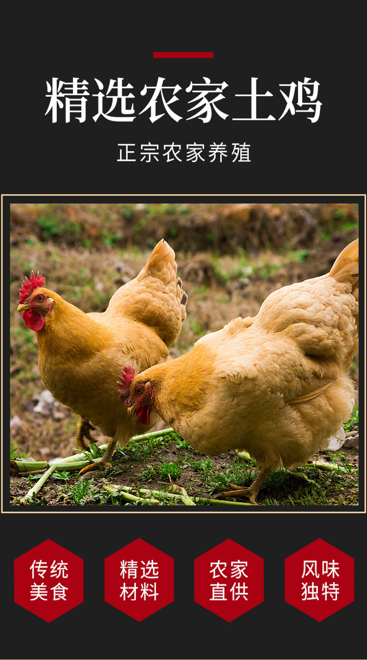 椒麻鸡2_03.jpg