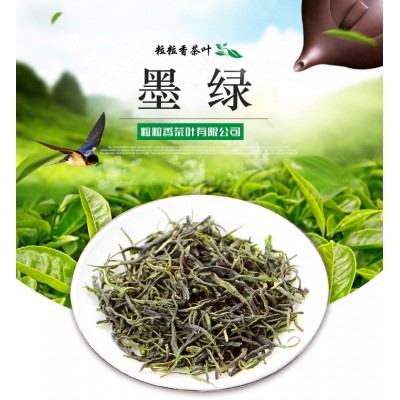 新茶 绿茶 信阳毛尖 绿茶散装 浓香袋装散装厂家批发
