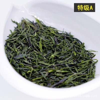 2022茶叶 信阳毛尖新林玉露蒸青 绿茶散茶