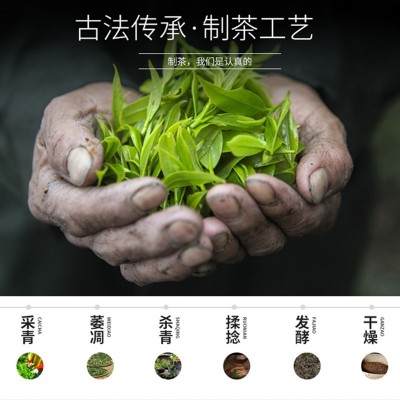 信阳红茶2022新茶 散装春茶浓香型茶叶批发 源头茶厂自产自销500g图2