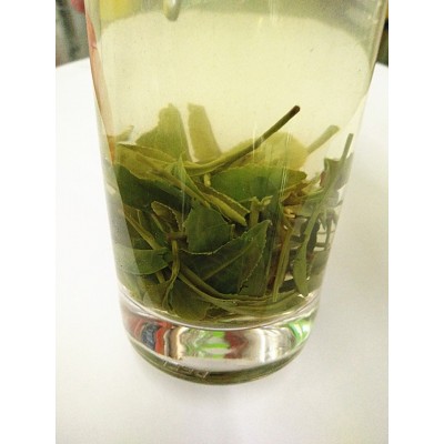 2022河南省信阳毛尖新茶茶叶 散装 绿茶 茶厂家批发 大叶子口感好图4
