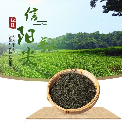 2022年新茶信阳毛尖茶毛峰春茶高山绿茶嫩芽现货批发进货一件代发