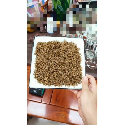 信阳  500克红茶   蜜香