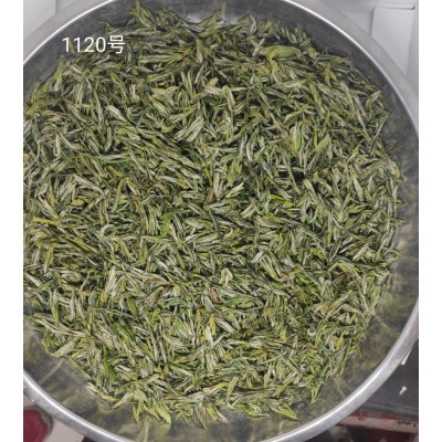 直供500克信阳手工茶手工制作图3