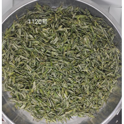 直供500克信阳手工茶手工制作