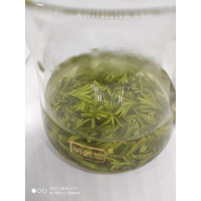 直供500克信阳手工茶手工制作图5