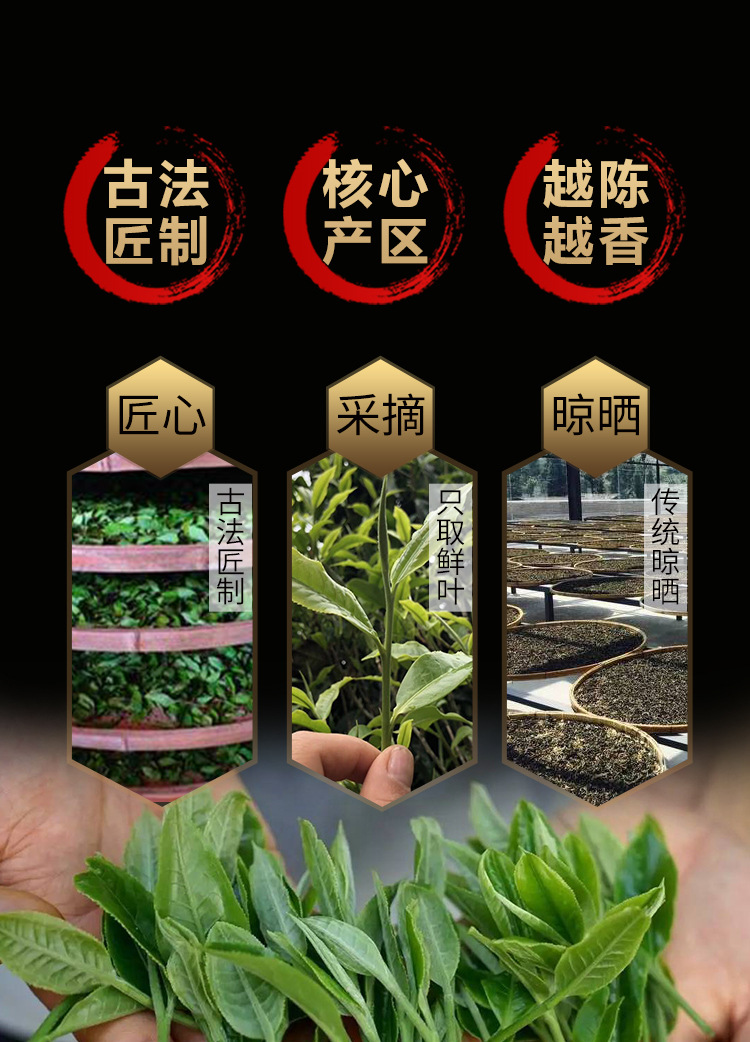 冰岛熟茶_06.jpg