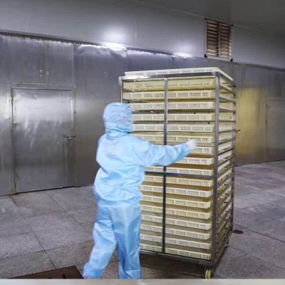 源头工厂 5A大芒果干 散装批发微商零食源头工厂新型食品果干蜜饯图5