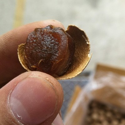 新货12A桂圆干500g一件代发桂圆核小肉厚龙眼干莆田特产桂圆批发图2
