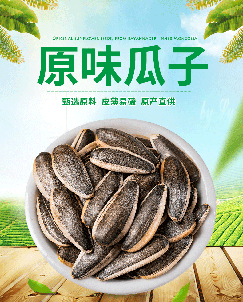 原味瓜子_01
