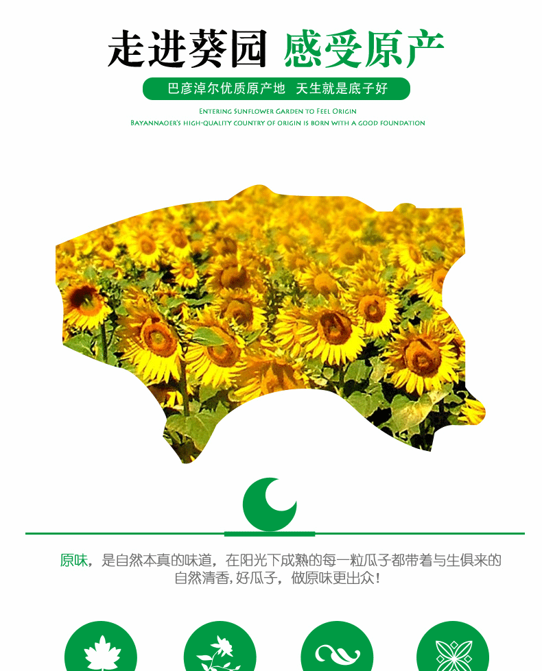 原味瓜子_03