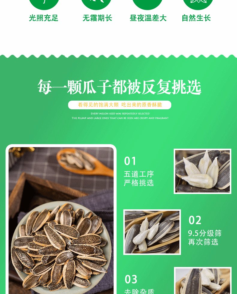 原味瓜子_04