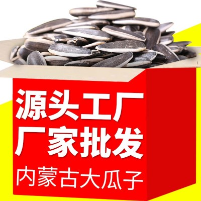 内蒙特产瓜子原味葵瓜子500g袋装大颗粒坚果零食炒货厂家瓜子批发图1