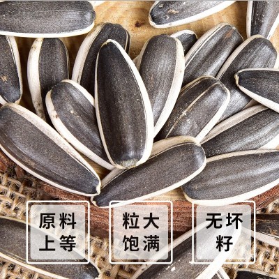 内蒙特产瓜子原味葵瓜子500g袋装大颗粒坚果零食炒货厂家瓜子批发图2