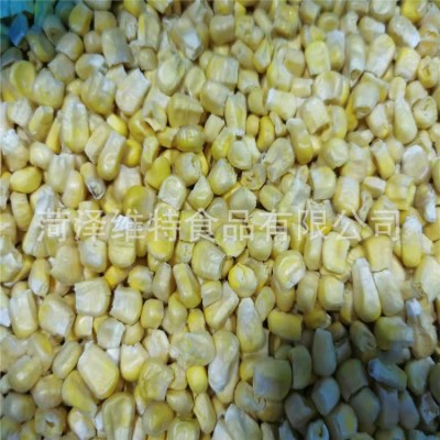 冻干玉米粒冻干玉米 FD甜玉米粒 冻速冻玉米粒图2