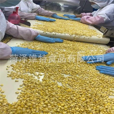 冻干玉米粒冻干玉米 FD甜玉米粒 冻速冻玉米粒图1