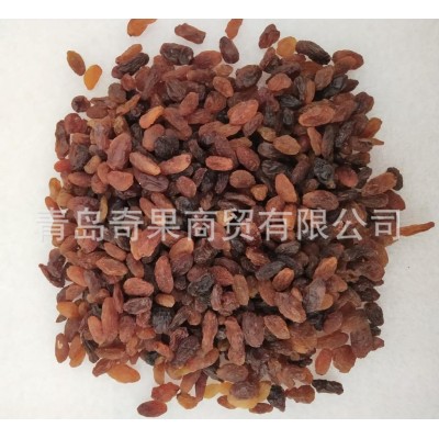 免洗红提干 烘焙原料干净无杂 葡萄干散装整箱