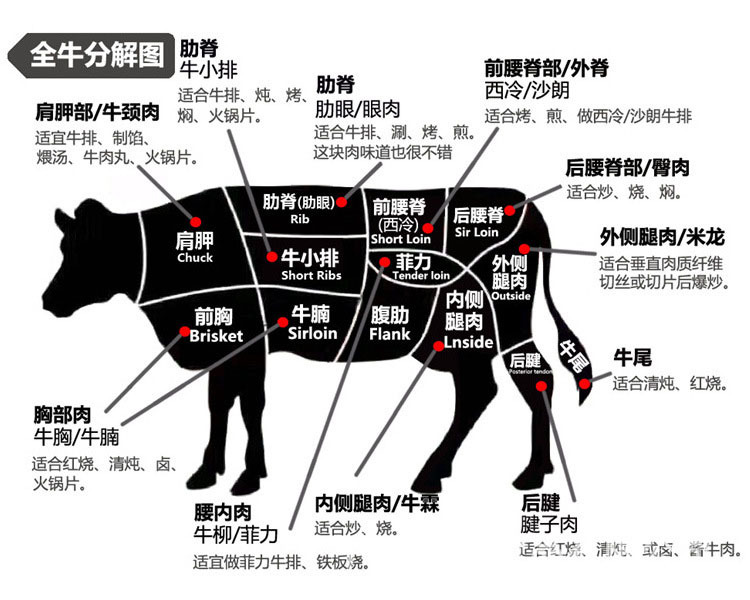 牛排部位图02.jpg