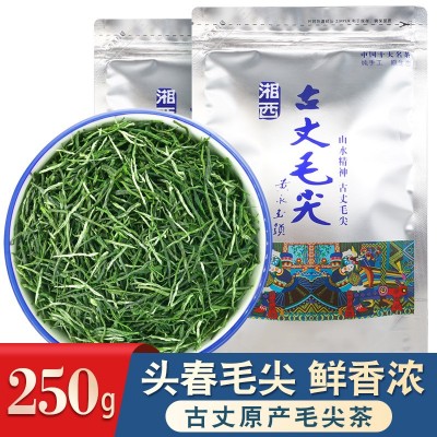 2022新茶古丈毛尖明前绿茶250g袋装茶叶湖南湘西特产味浓耐泡