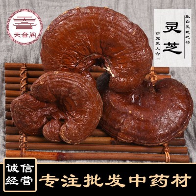 赤灵芝 东北新货整枝灵芝产地红灵芝干品鲜美可泡酒煲汤量大从优图1