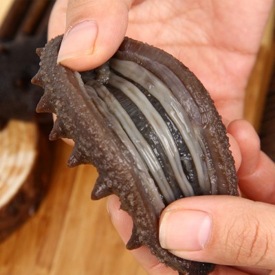 即食海参仙鹭岛工厂现货批发代发大连渤海湾鲜活海参开袋即食500g图3