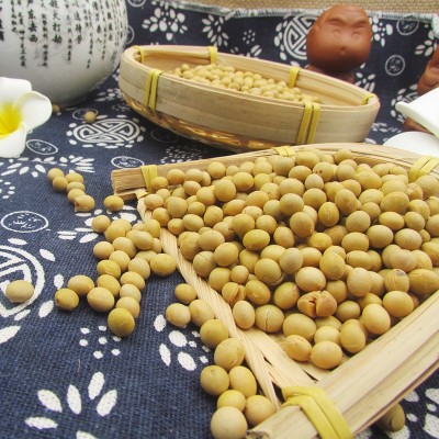低温烘焙熟黄豆现磨豆浆原料散装批发直批豆浆商用磨粉熟豆子大豆图3