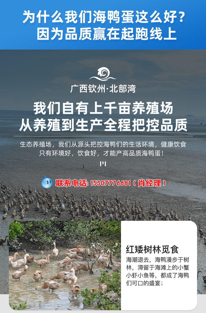 海鸭子阿里巴巴详情页_08