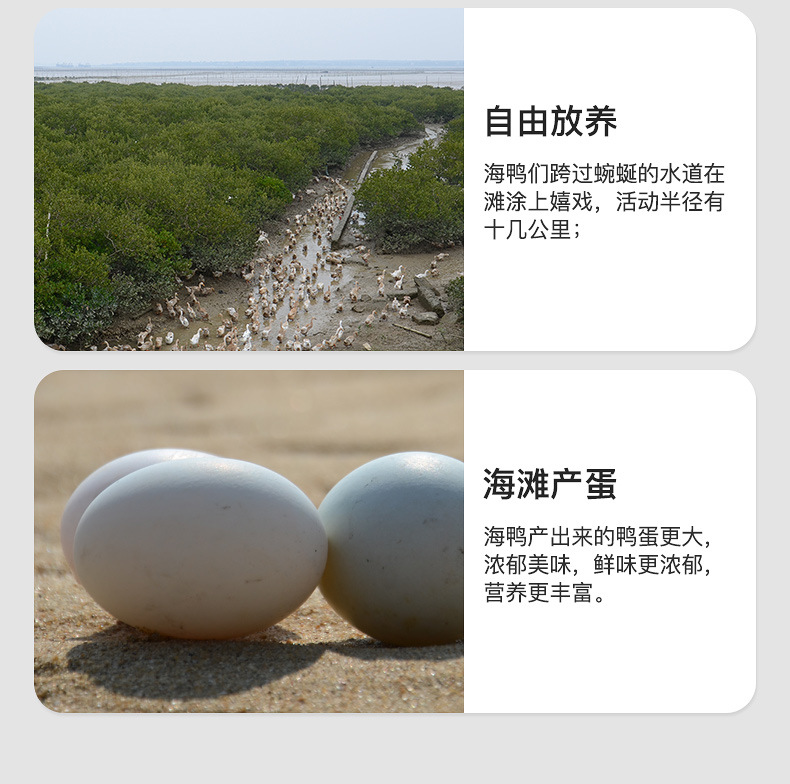 海鸭子阿里巴巴详情页_09.jpg