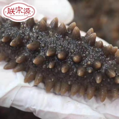 朕宗源 日本纯淡干关东参批发 海参干货淡干六排刺北海道海参辽参