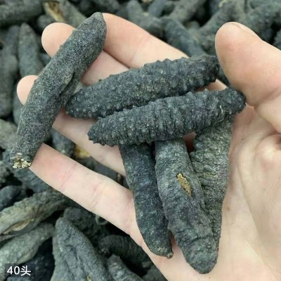 朕宗源 精选土耳其小米刺海参 海鲜水产干货淡干海参现货批发图2