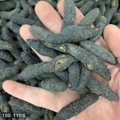 朕宗源 精选土耳其小米刺海参 海鲜水产干货淡干海参现货批发图4