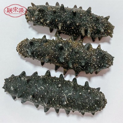 朕宗源淡干大连海参40头刺参海味足干货500g海参一手货源诚招代理
