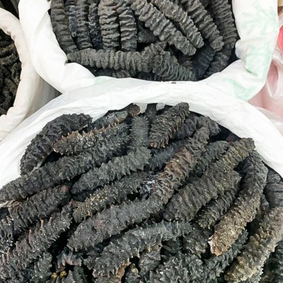 朕宗源 头带刺螺纹参 九龙纹参500g大连海参足干海鲜海味干货批发图3