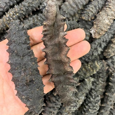 朕宗源 头带刺螺纹参 九龙纹参500g大连海参足干海鲜海味干货批发图2