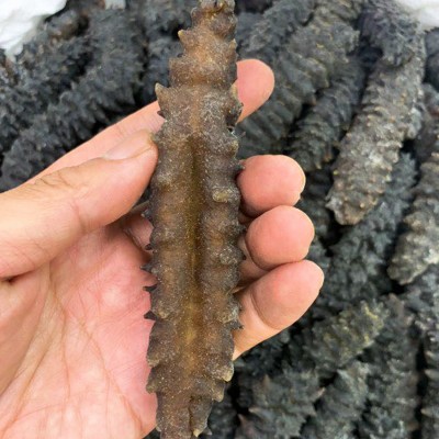 朕宗源 头带刺螺纹参 九龙纹参500g大连海参足干海鲜海味干货批发图4