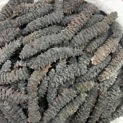 朕宗源 头带刺螺纹参 九龙纹参500g大连海参足干海鲜海味干货批发图5