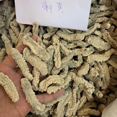 朕宗源刺白刺皇参180-190头500克淡干白刺皇海参批发海参干批发图4
