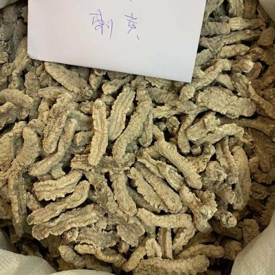 朕宗源刺白刺皇参180-190头500克淡干白刺皇海参批发海参干批发图3