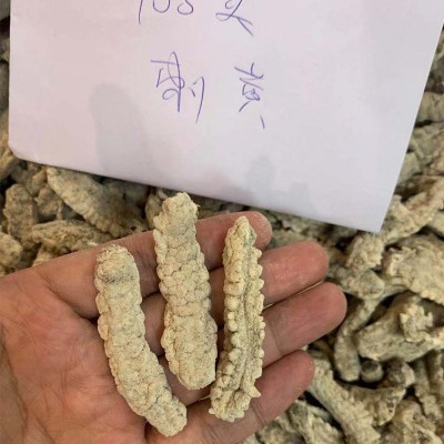 朕宗源刺白刺皇参180-190头500克淡干白刺皇海参批发海参干批发图2