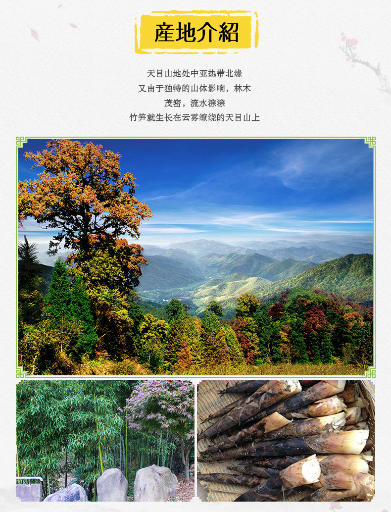 详情03